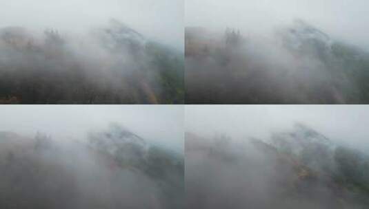 重庆山火后，北碚缙云山迎来降雨，云雾缭绕高清在线视频素材下载