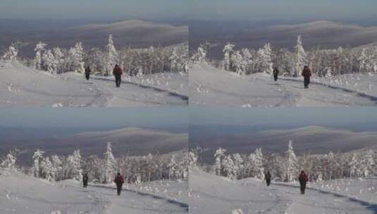 摄影者在林海雪原上行走高清在线视频素材下载
