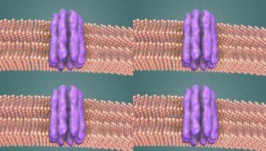 3D医学动画细胞动画 动物细胞 植物细胞高清在线视频素材下载