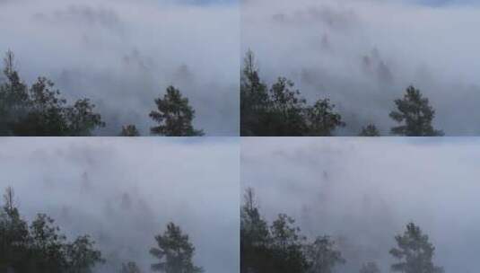 大兴安岭森林晨雾飘荡高清在线视频素材下载