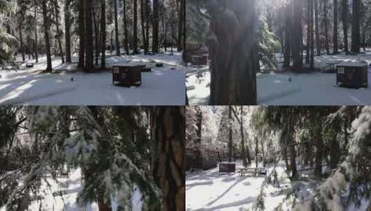 冬天雪中 美丽的山峰森林高清在线视频素材下载