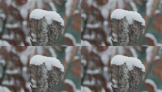下雪树状慢镜头升格4K实拍空镜高清在线视频素材下载