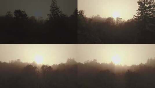 自然风光 航拍清晨日出光茫迷雾森林树林高清在线视频素材下载
