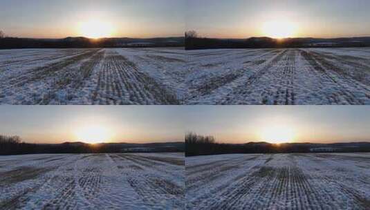 早春冰消雪融的垦区农田高清在线视频素材下载