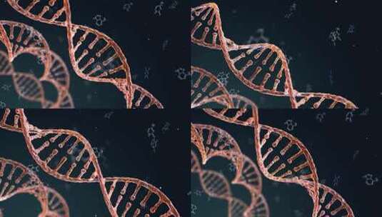 旋转 DNA 链的无缝循环动画高清在线视频素材下载