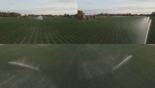 小麦喷灌 现代化种植 高标准农田高清在线视频素材下载