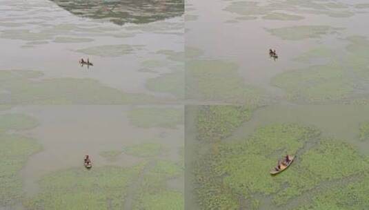 苏州太湖上划船的人航拍高清在线视频素材下载