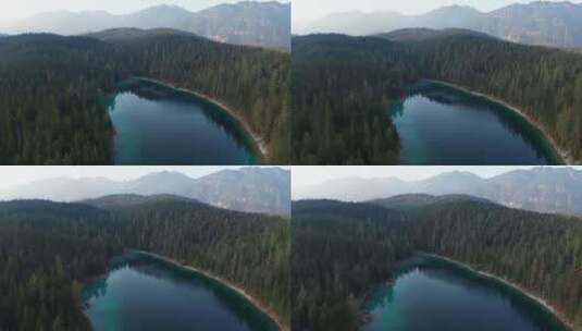 森林里的湖泊高清在线视频素材下载