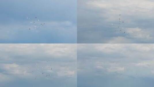 鸽子在天空飞翔蓝天白云高清在线视频素材下载