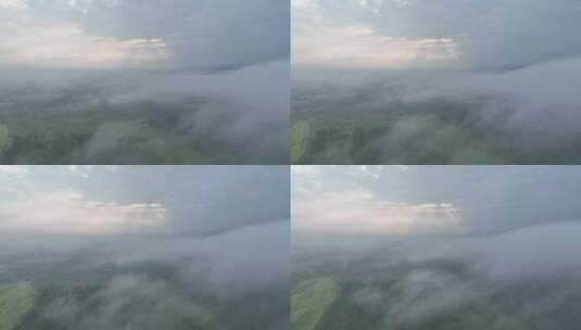 航拍黎明山林云雾迷漫高清在线视频素材下载