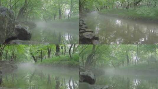 烟雨江南 小溪 仙境 晨雾 森林高清在线视频素材下载