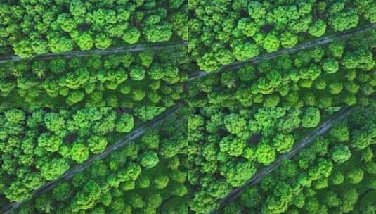 4k鸟瞰森林风景绿水青山绿色自然航拍高清在线视频素材下载