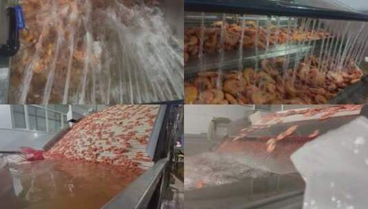 速冻海鲜大虾生产流水线高清在线视频素材下载