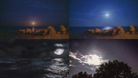 【合集】月亮树叶夜空高清在线视频素材下载