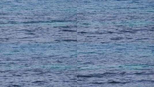 海洋抽象蓝色波纹高清在线视频素材下载