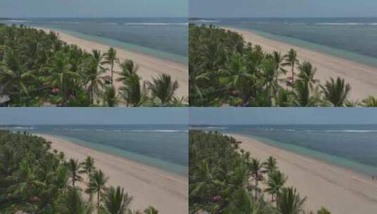 HDR印尼巴厘岛努沙杜瓦海滨棕榈自然风光高清在线视频素材下载