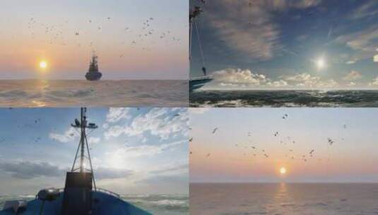 夕阳下的海鸥帆船唯美意境高清在线视频素材下载