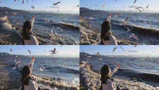 （慢镜头）大理洱海日出美女喂海鸥唯美镜头高清在线视频素材下载