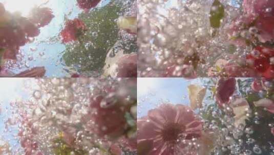 玫瑰花瓣落在水里植物精华香水广告美容护肤高清在线视频素材下载
