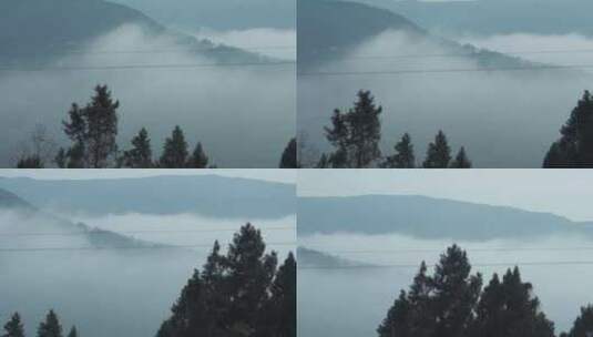 大雾清晨山间森林 云雾缭绕高清在线视频素材下载