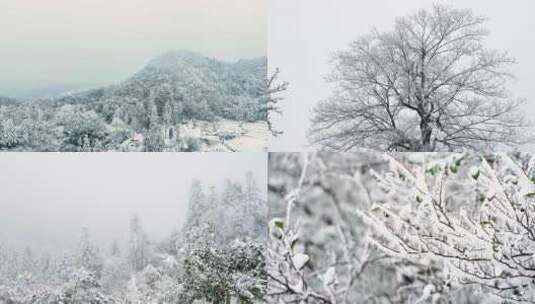 雪山雾凇雪凇雪景合集4K高清在线视频素材下载