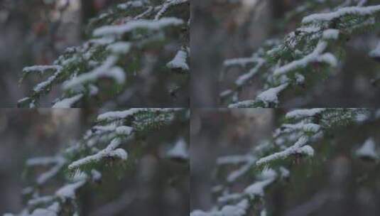 冬天的雪景高清在线视频素材下载