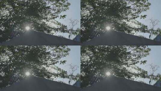 仰拍空镜 逆光树叶阳光蓝天高清在线视频素材下载