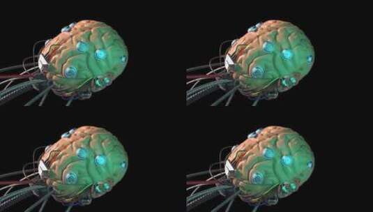 开发人工智能大脑 3D动画（透明通道）高清在线视频素材下载