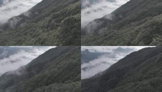 森林湖泊云海山川山脉云雾缭绕 青山绿水高清在线视频素材下载