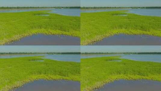 杭州钱塘大湾区湿地公园航拍视频高清在线视频素材下载