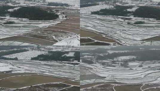 竖版航拍南方乡村田园农田梯田雪景高清在线视频素材下载