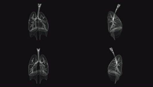 呼吸系统全息图高清在线视频素材下载
