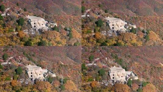 秋日红叶森林航拍满山红叶高清在线视频素材下载