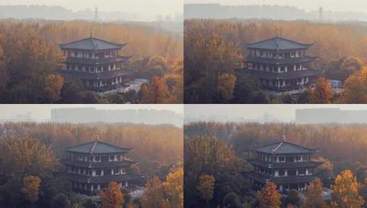 航拍秋天中式古建筑高清在线视频素材下载